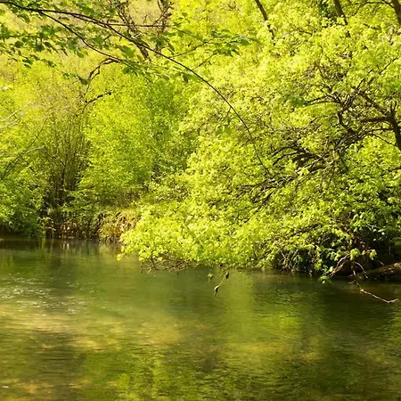 Prázdninový dům Moulin De Lantouy Salvagnac-Cajarc